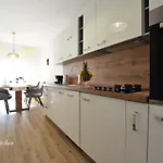 Lola Задар